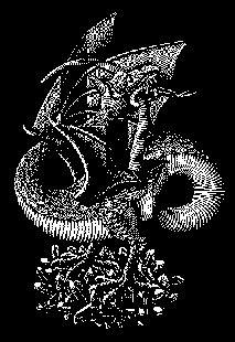 Escher Dragon